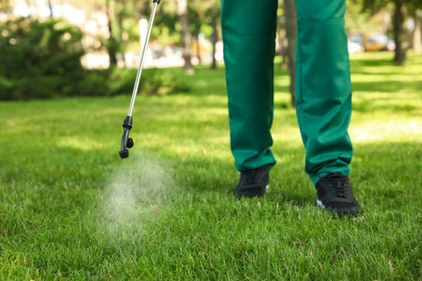 Best Commercial Pest Control Services  in Naples Manor, FL